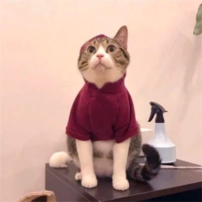 Nguyễn Công Phượng avatar