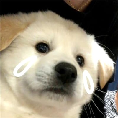 Phạm Thị Nương avatar